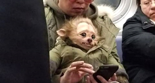DÜNYA METROLARINDA DEĞİŞİK OLAYLAR