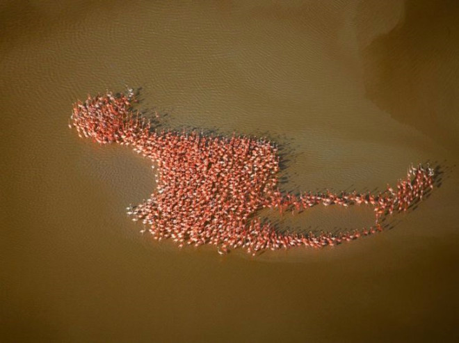 Photoshop değil doğa ilizyonları