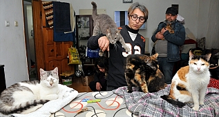 Engelli sokak hayvanlarının "koruyucusu" oldu