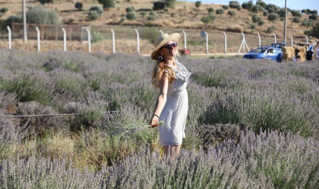 Lavanta Festivalinden kartpostallık görüntüler