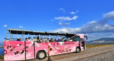 Flamingolar İzmirlileri büyülüyor