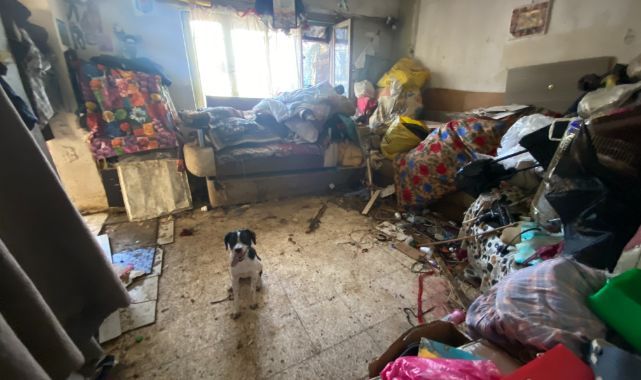 Çevreye kötü koku yayılan evden 2 kamyon çöp ile 4 köpek çıktı!