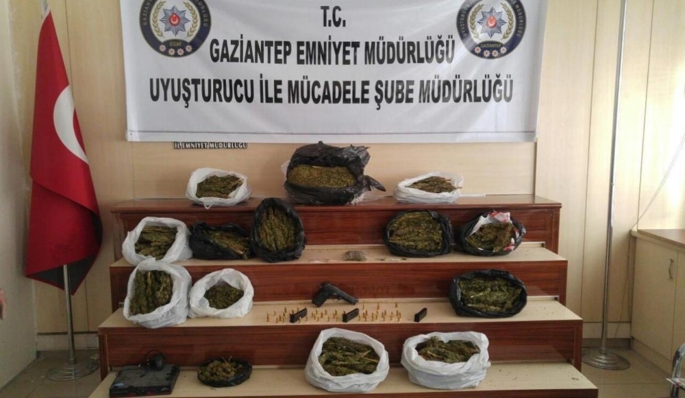 Emniyet Genel Müdürlüğünden zehir tacirlerine şafak baskını