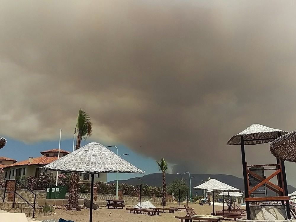 İzmir’de makilik alanda çıkan yangın büyüyor