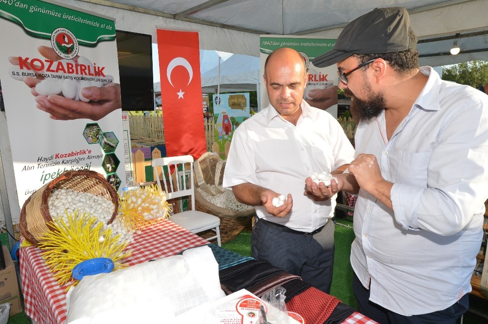 Köy hayatı, Büyük Ankara Festivali’nde