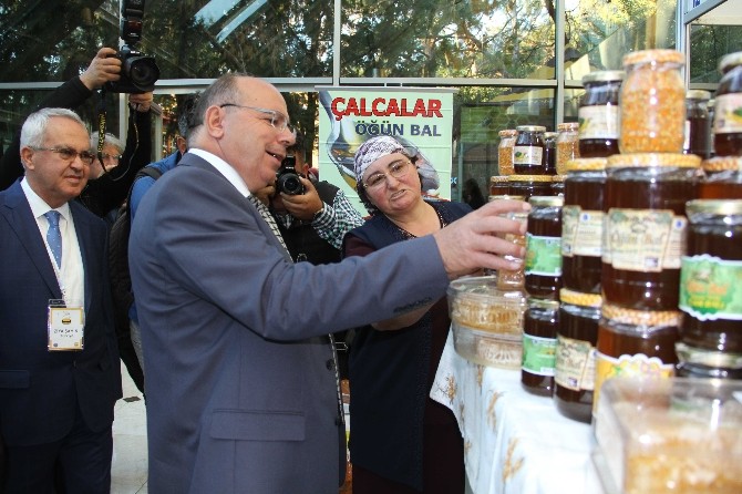 5. Uluslararası Muğla Arıcılık ve Çam Balı Kongresi