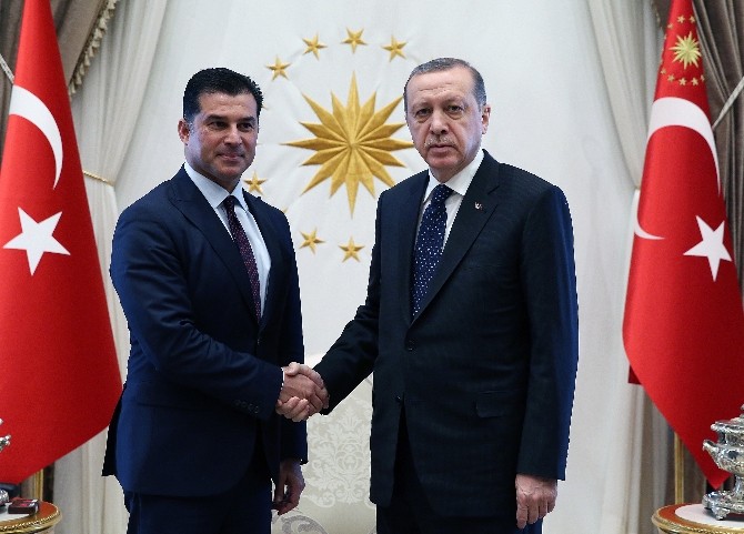 Cumhurbaşkanı Erdoğan, KKTC Başbakanı Özgürgün’ü kabul etti
