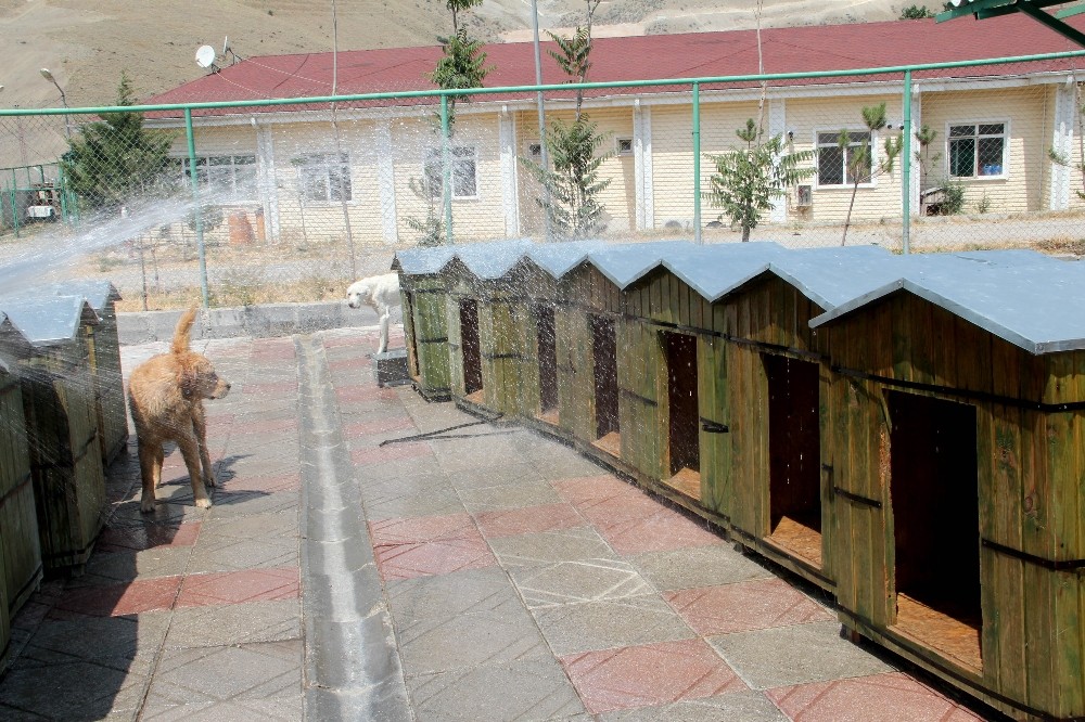 Parklara su kapları yerleştirildi