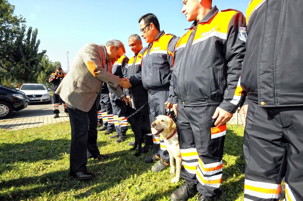 Kahraman köpek Şans hayatını kaybetti