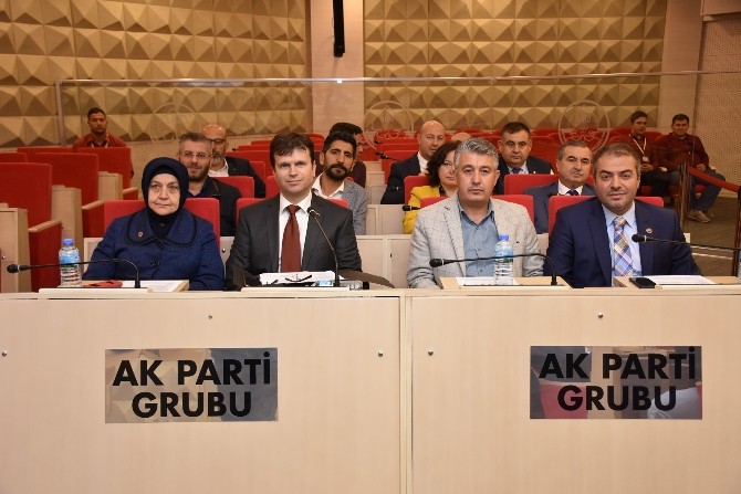 Şehzadeler’in 2017 bütçesi 95 milyon lira