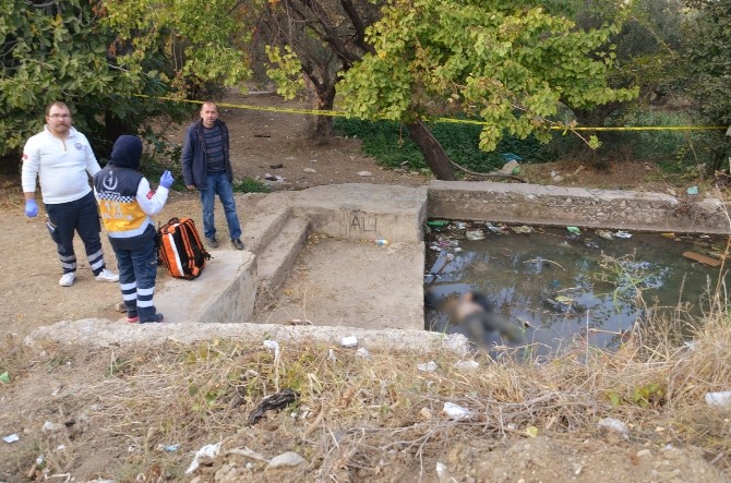 Sulama havuzunda ölü bulundu