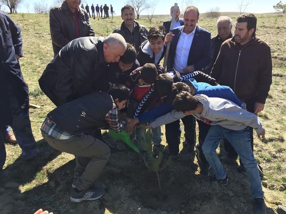 Başkan Duruay vatandaşlarla fidan dikti