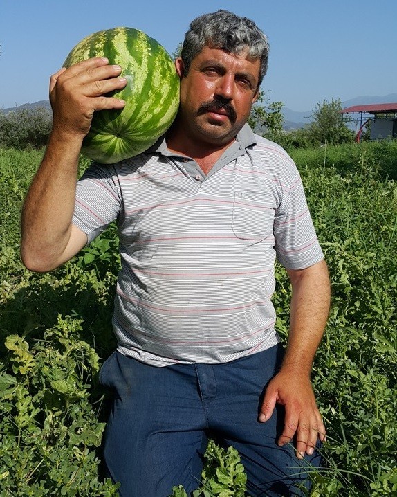 Ödemiş karpuzu yine tarlada kaldı