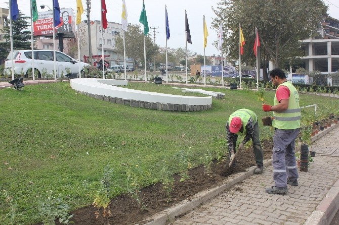 Turgutlu çiçeklerle renkleniyor