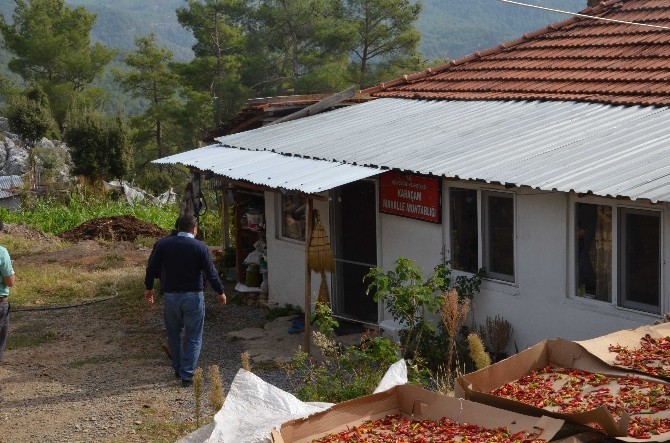 Köyceğiz Belediyesi’nden kaçak önlemi