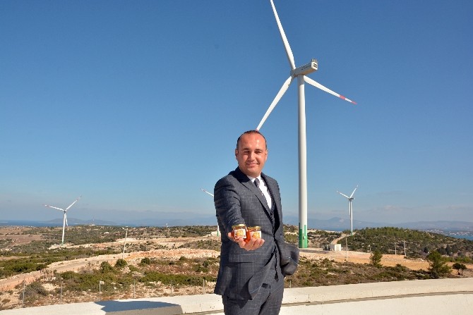 Hem enerji santrali hem doğal yaşam parkı
