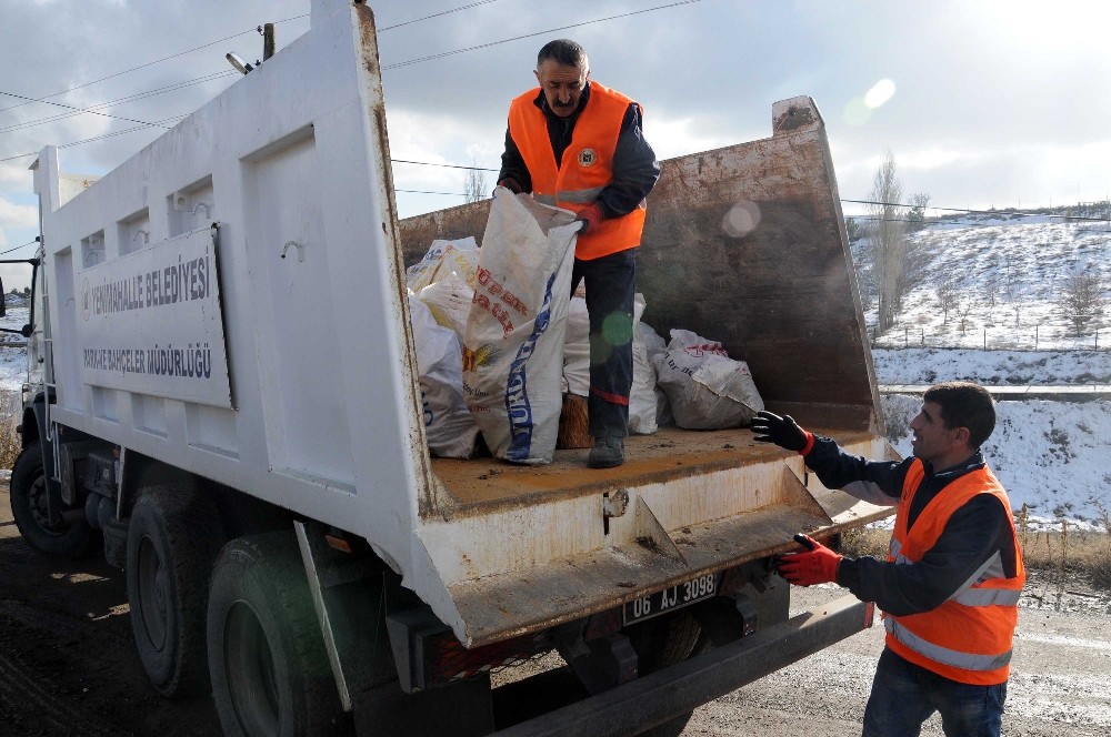 Budama çalışmaları bin aileyi ısıttı