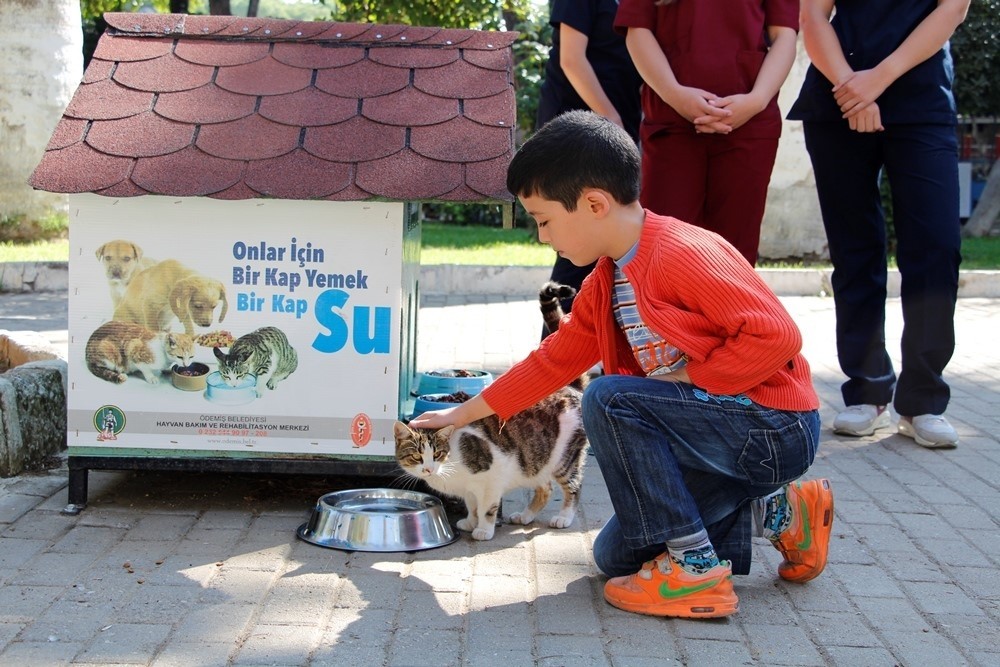 Ödemişliler, sokak hayvanları için seferber oldu