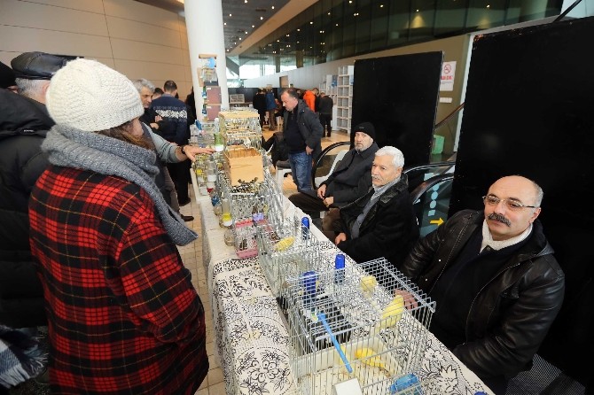 Yenimahalle’de Kuş Borsası’na yoğun ilgi