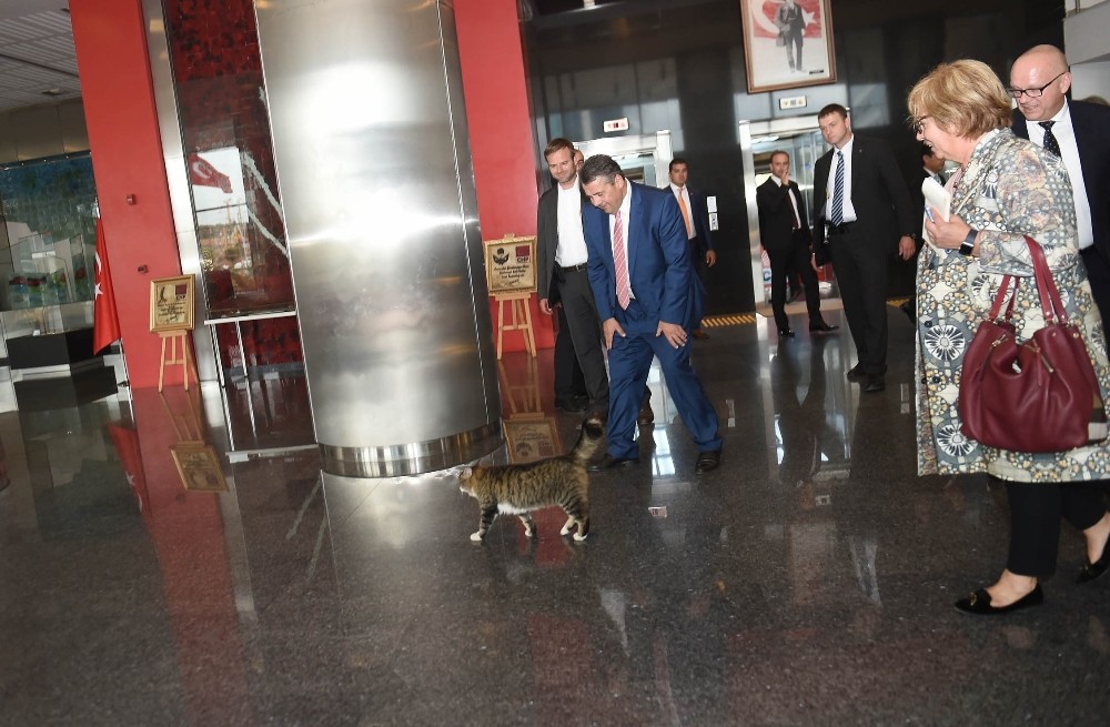 Kılıçdaroğlu, Almanya Dışişleri Bakanı Gabriel’le bir araya geldi