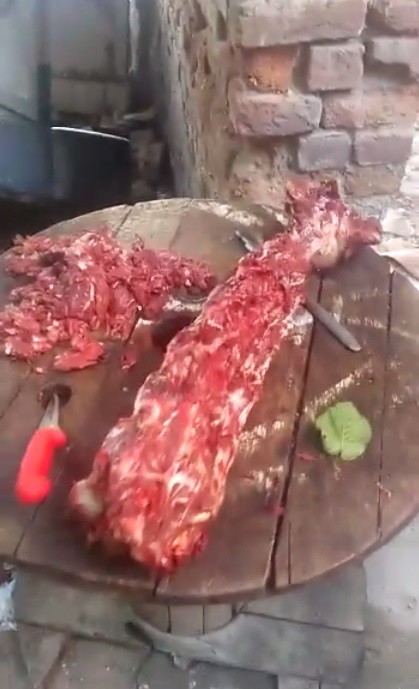 İzmir’de 500 kilogram at eti ele geçirildi