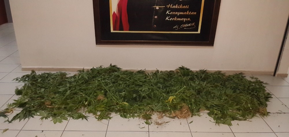 İzmir’de uyuşturucu operasyonu: 2 gözaltı