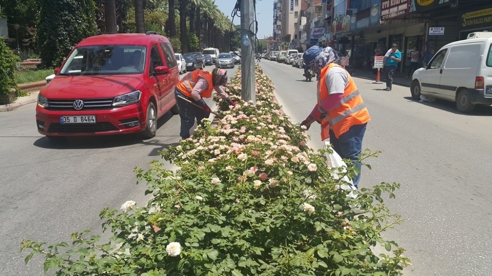 Herkes denizde, onlar kavurucu sıcakta mesaide