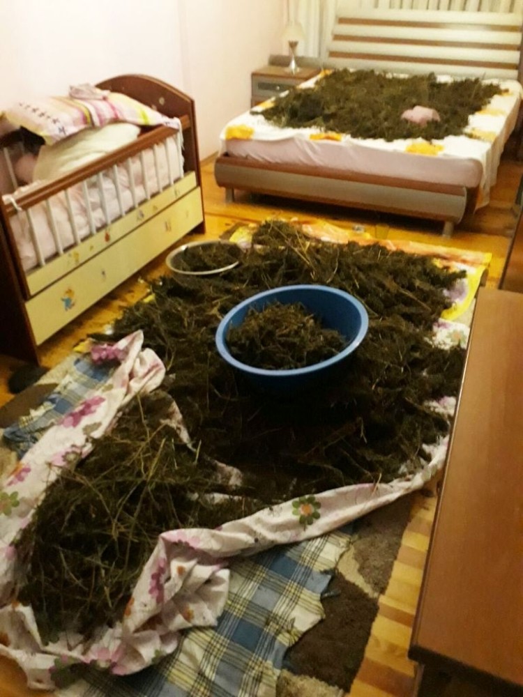İzmir’de uyuşturucu operasyonu: 11 kilo esrar ele geçirildi