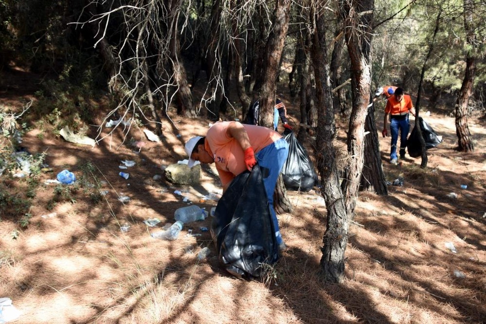 Aliağa Belediyesinden orman temizliği