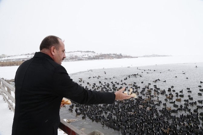 Başkan Duruay aç kalan kuşları besledi
