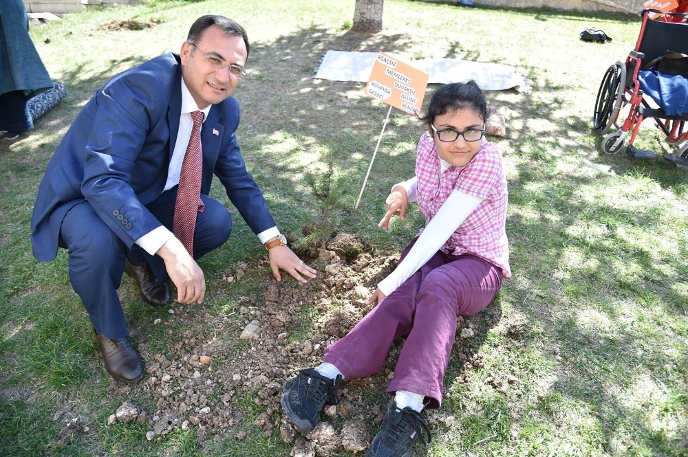 Altındağ’da engelliler ağaç dikti