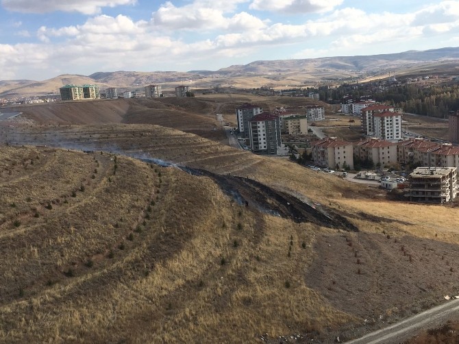 Öğretmenler anısına dikilen fidanlar yandı