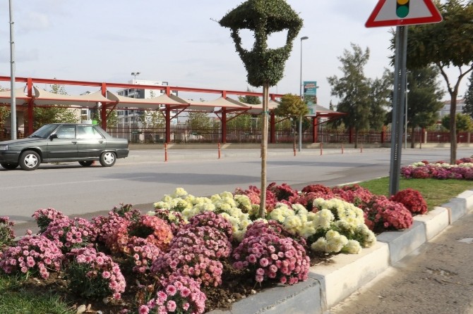 Manisa’da renk cümbüşü