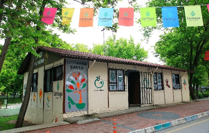 ÇAYED, ‘Yarım Elma’yla 26 bin 901 kişinin gönlünü aldı
