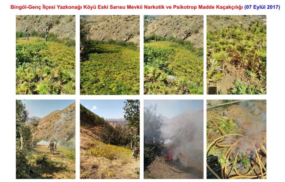 Bingöl’de 148 kilo kubar esrar ile 1 milyon 59 bin kök kenevir ele geçirildi