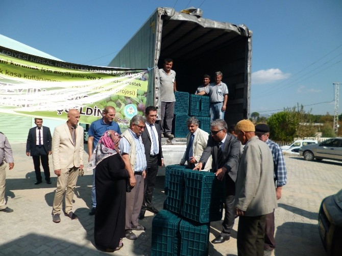 Somalı zeytin üreticisine destek