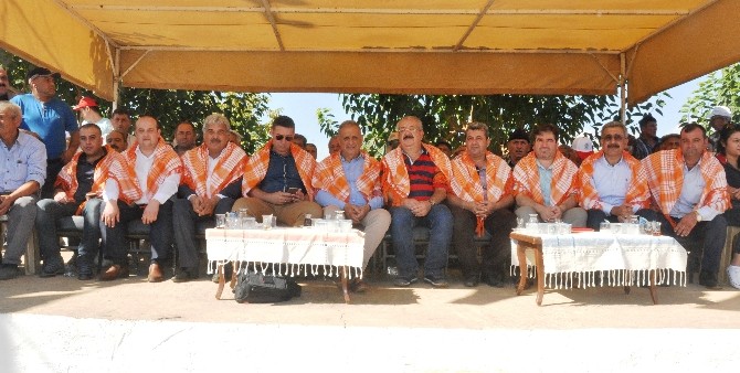 Rahvan atlar 31. kez yarıştı