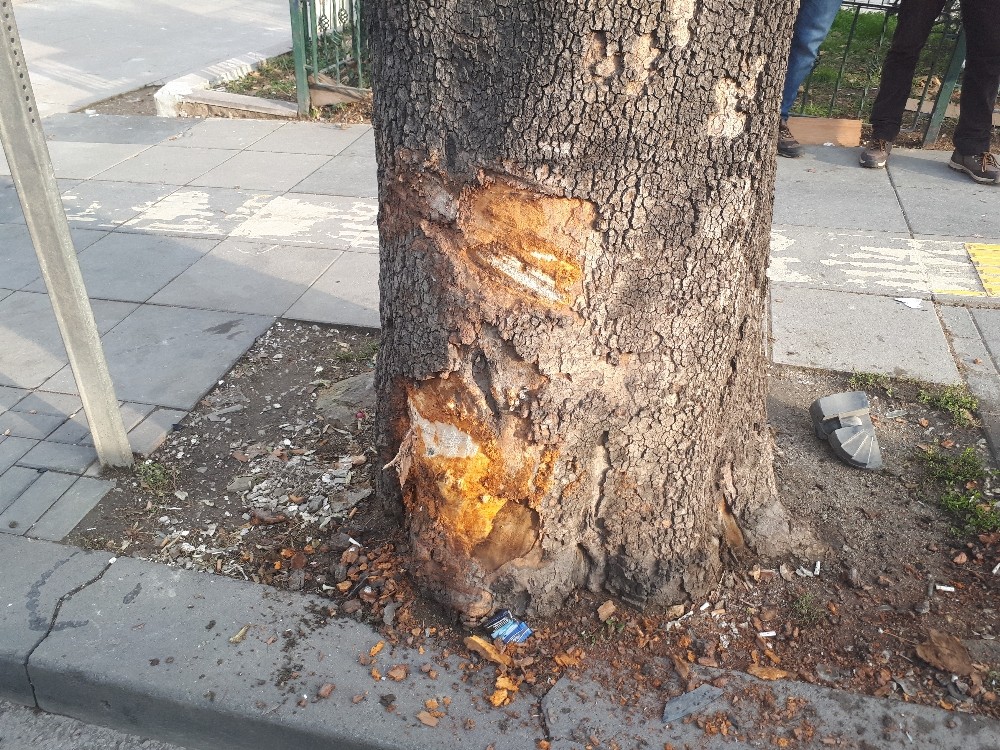 Başkent’te trafik kazası: 1 ağır yaralı