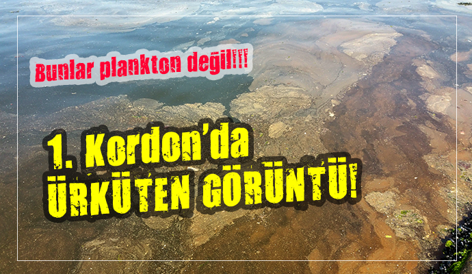 İZMİR KÖRFEZİNDE ÜRKÜTEN GÖRÜNTÜ