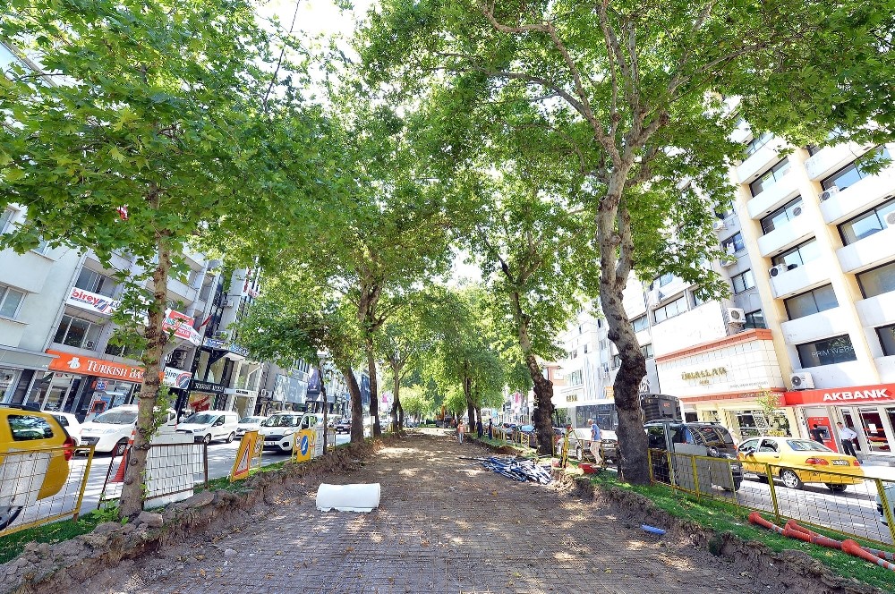 Tramvayda yaz maratonu başlıyor