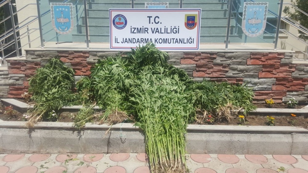 İzmir’de uyuşturucu operasyonu: 5 gözaltı