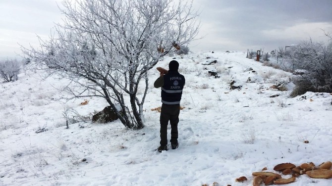 Pursaklar zabıtası yaban hayvanlarının imdadına yetişti
