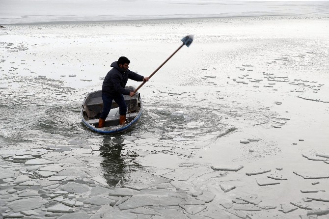 Gölbaşı Belediyesinden kuşlara yaşam alanı
