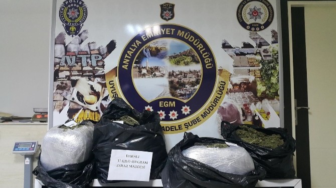 10 günde 455 operasyon
