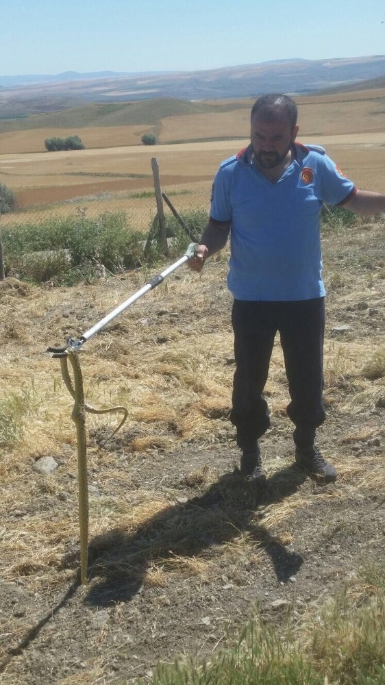 Kümesteki davetsiz misafir itfaiyeyi alarma geçirdi