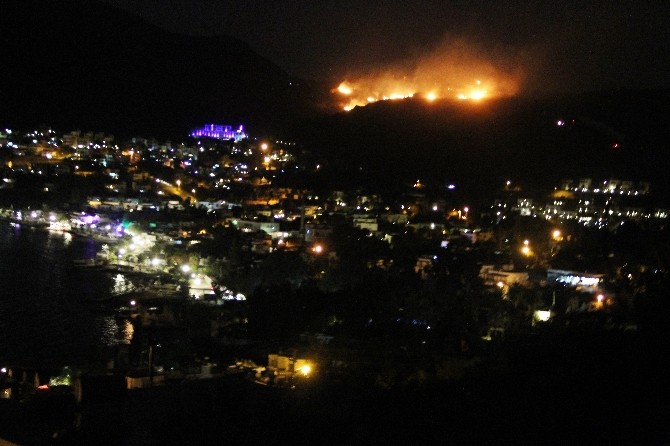 Bodrum’da 5 hektarlık alan kül oldu