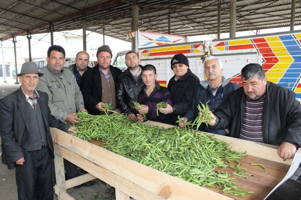 Ödemiş’te bakla ve bezelye vakti
