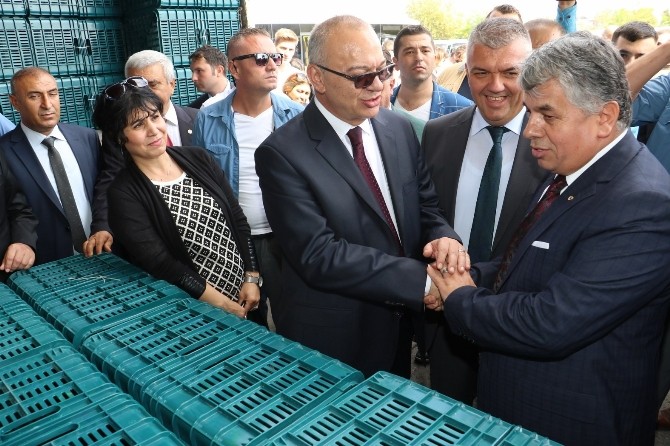 Üretici artık hasatta zarar etmeyecek