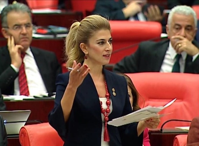 CHP’li vekilden hükümete ’terör’ eleştirisi