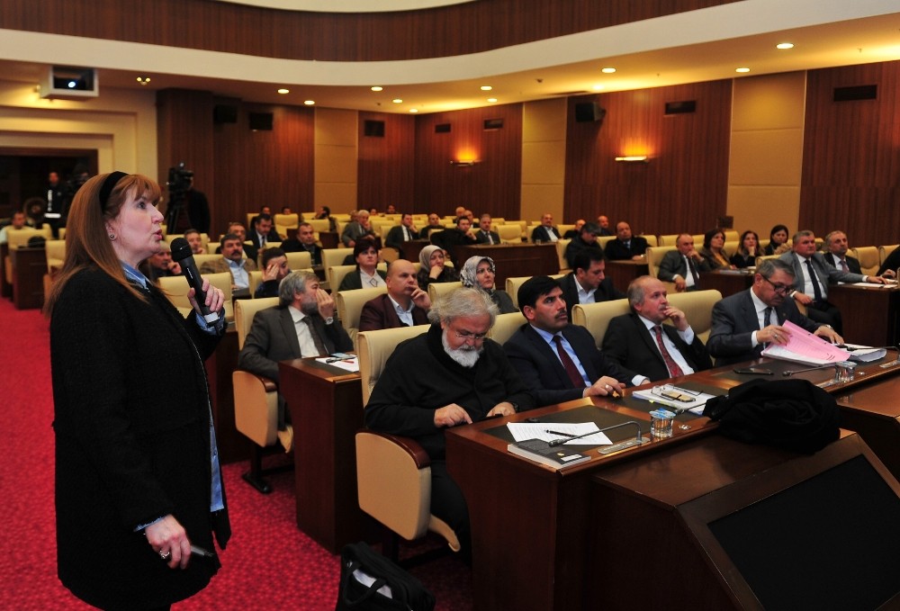 Ankara Büyükşehir Sağlık İşleri Daire Başkanından sokak hayvanlarına ilişkin brifing